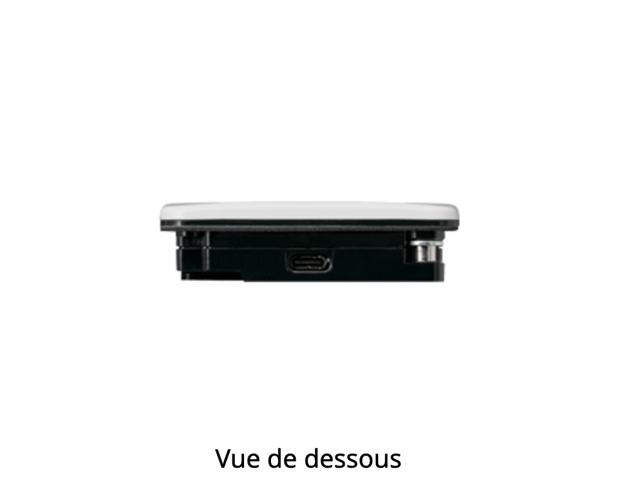 Avertisseur Sonore BSV