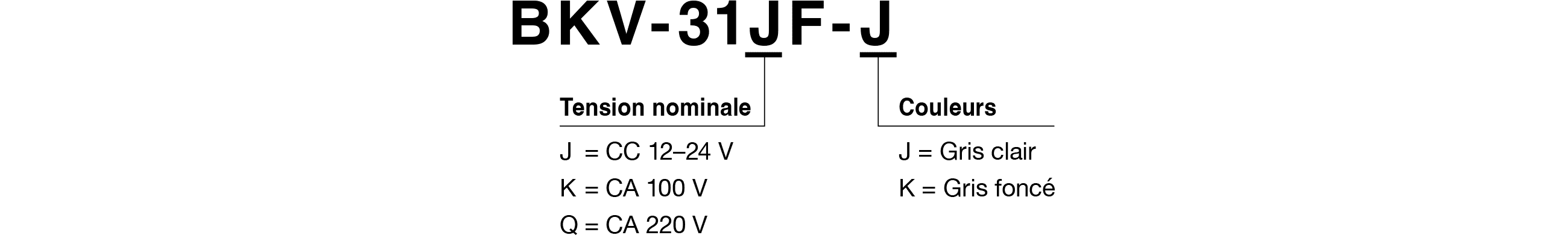 Code du modèle