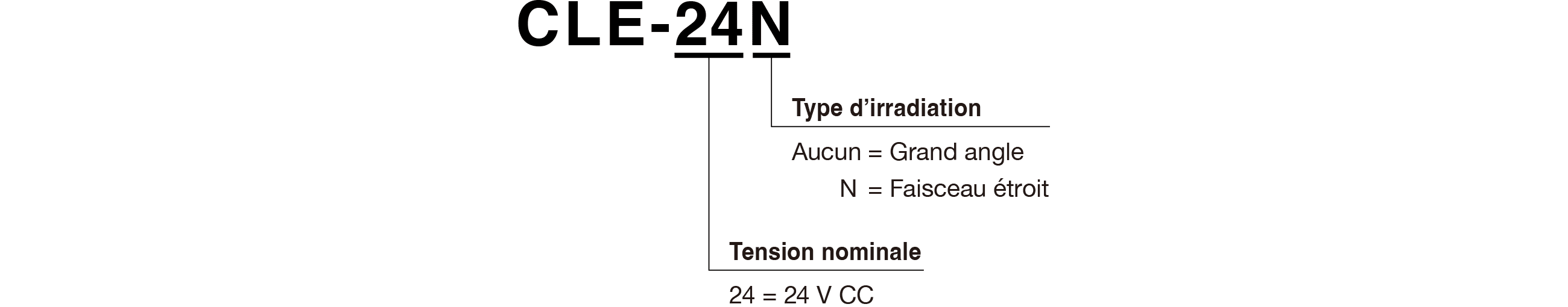 Code du modèle
