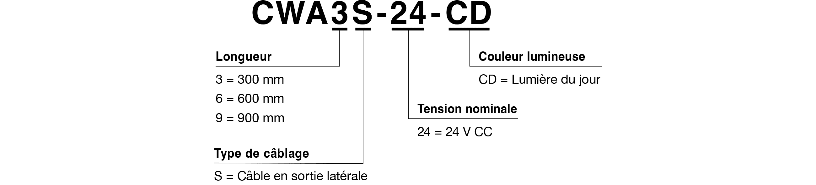 Code modèle