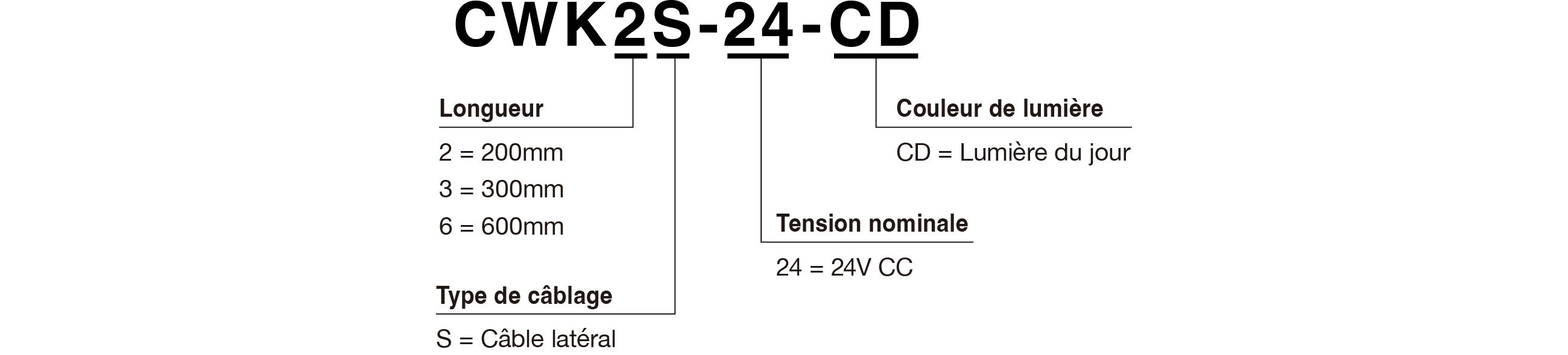 Code du modèle