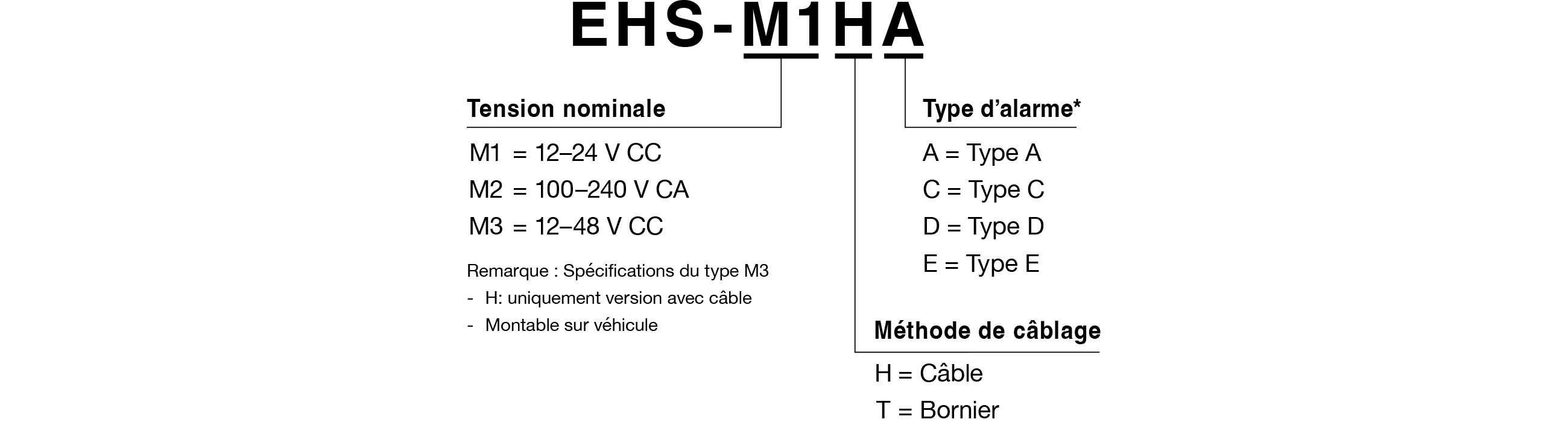 Code du modèle