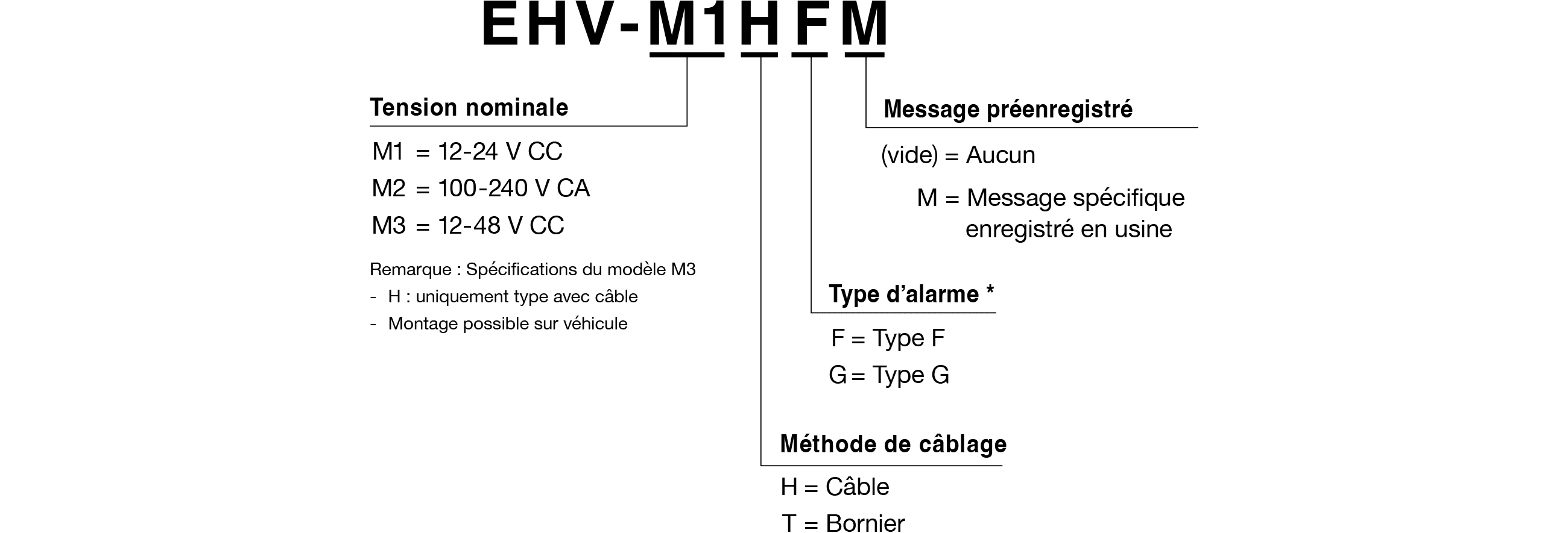Code du modèle