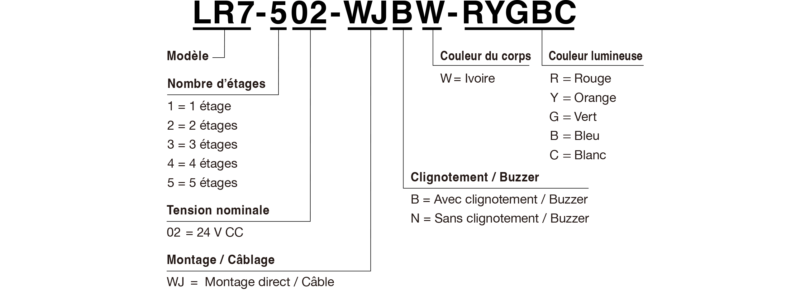 Code du modèle