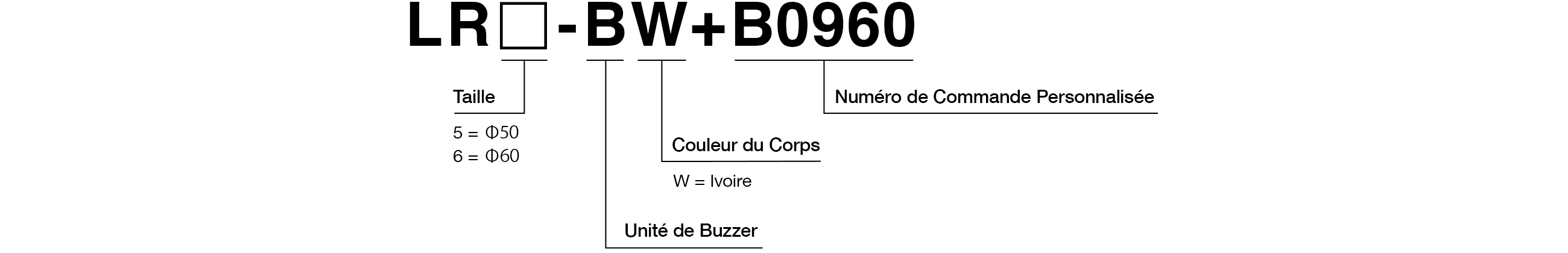 Code Modèle