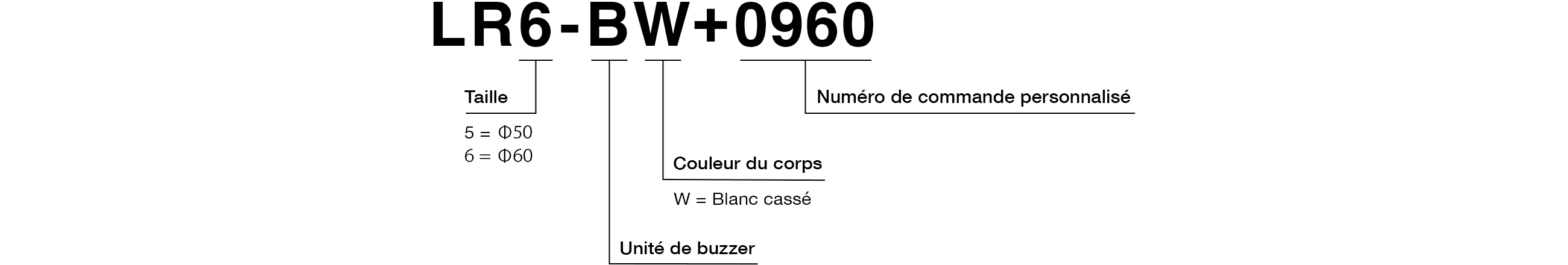Code du modèle
